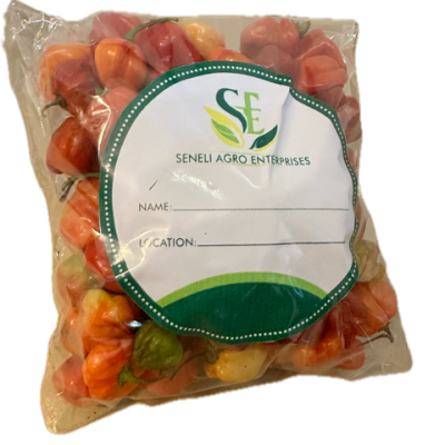 Habanero Pepper
