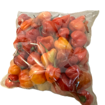 Habanero Pepper