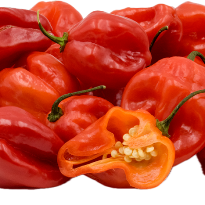 Scotch Bonnet Pepper (Atarodo)