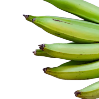 Plantain