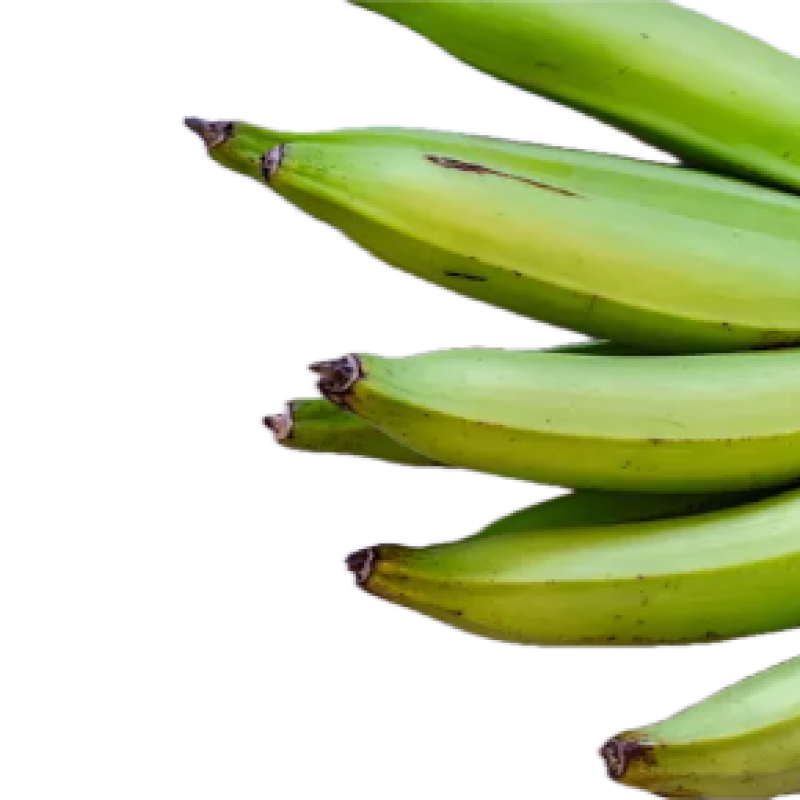 Plantain