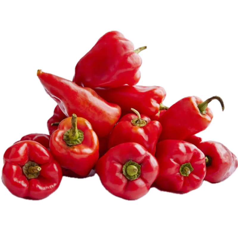 Tatashe Pepper